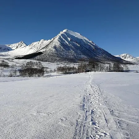 Appartement Rustic Wilderness Hut - Vesteralen / Lofoten