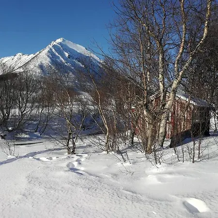 Rustic Wilderness Hut - Vesteralen / Lofoten Appartement